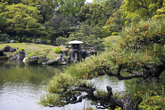 colorful-flower-garden-on-hill